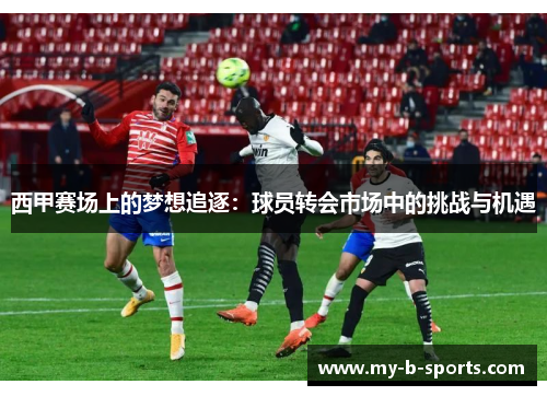 西甲赛场上的梦想追逐：球员转会市场中的挑战与机遇